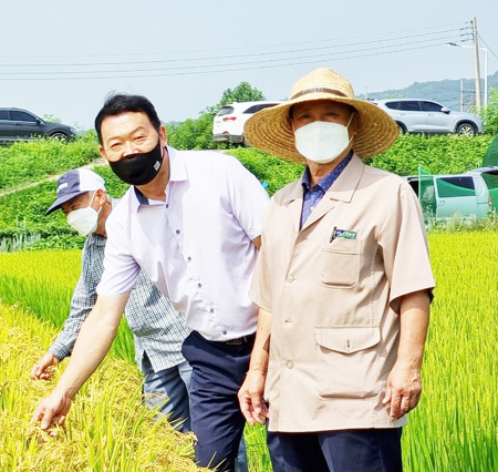 [이천] 김인영 위원장, 이천쌀 조기수확 실증 평가 현장 방문